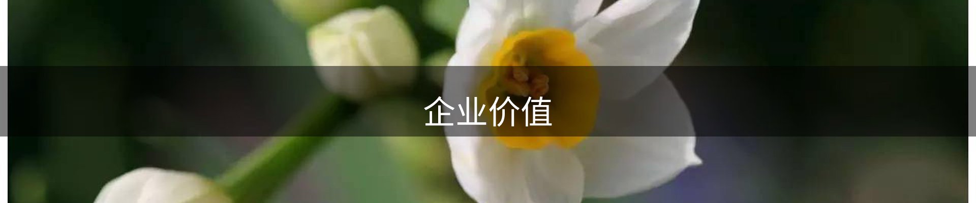 企业价值